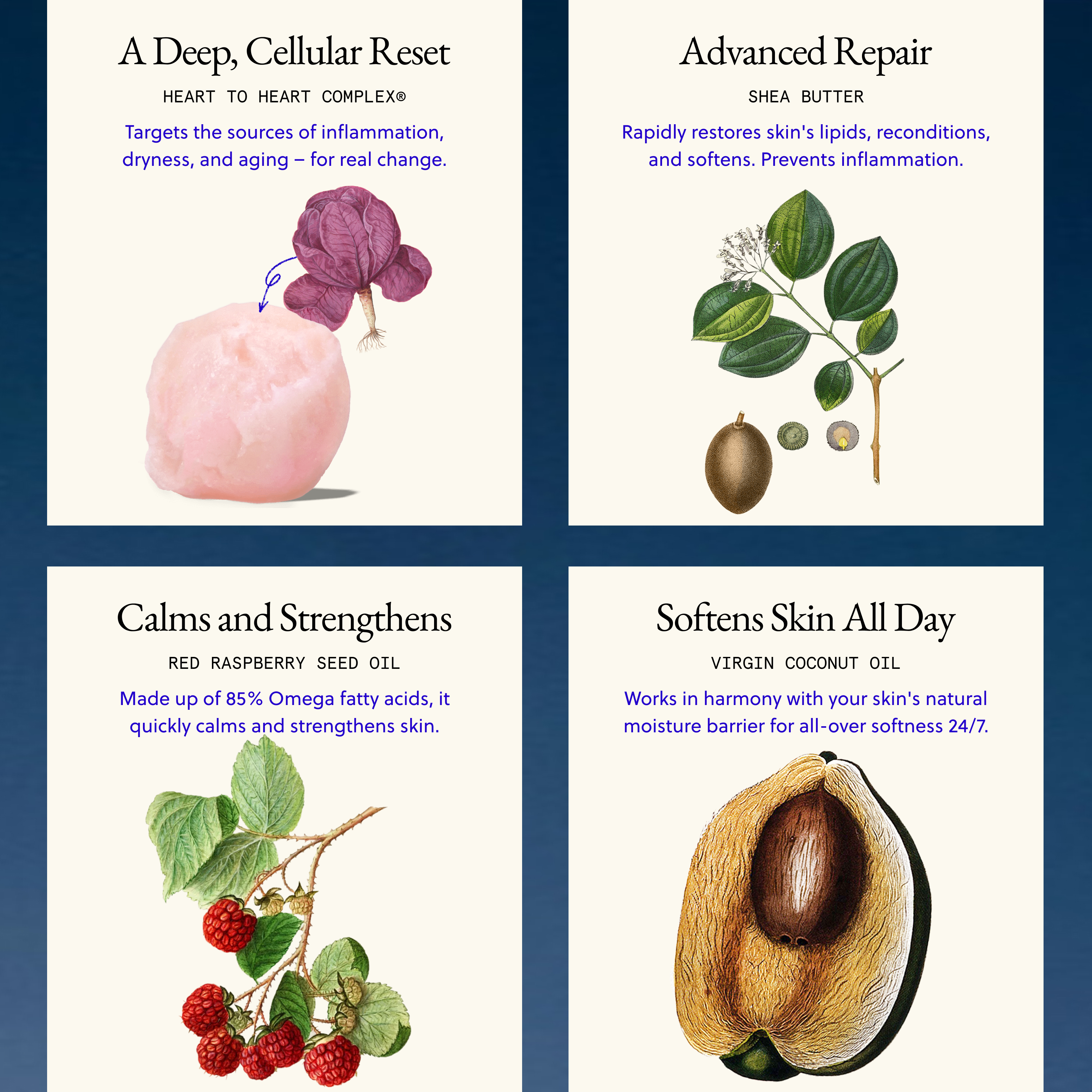 The Jumbo Body Cream