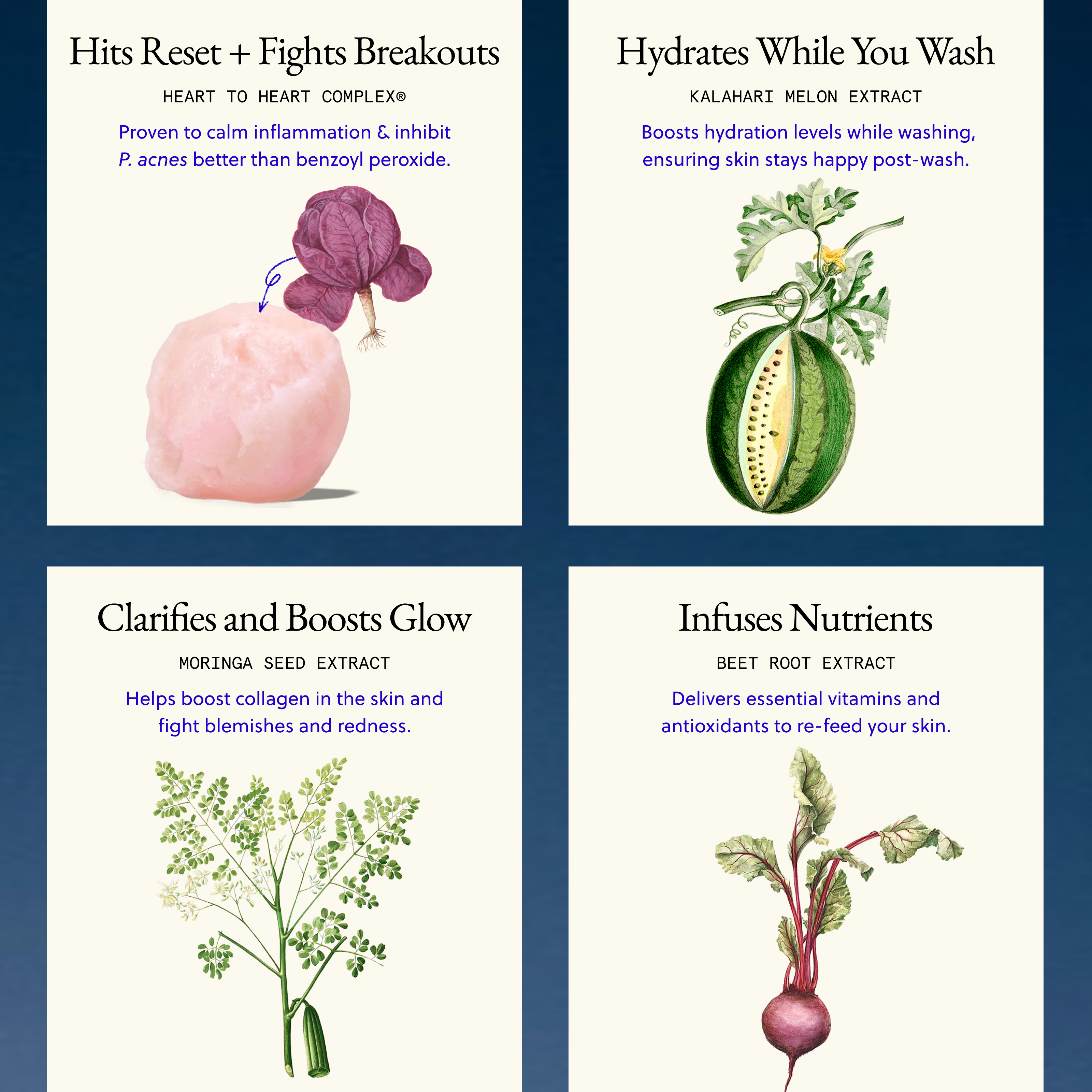 The Essential Cleanser