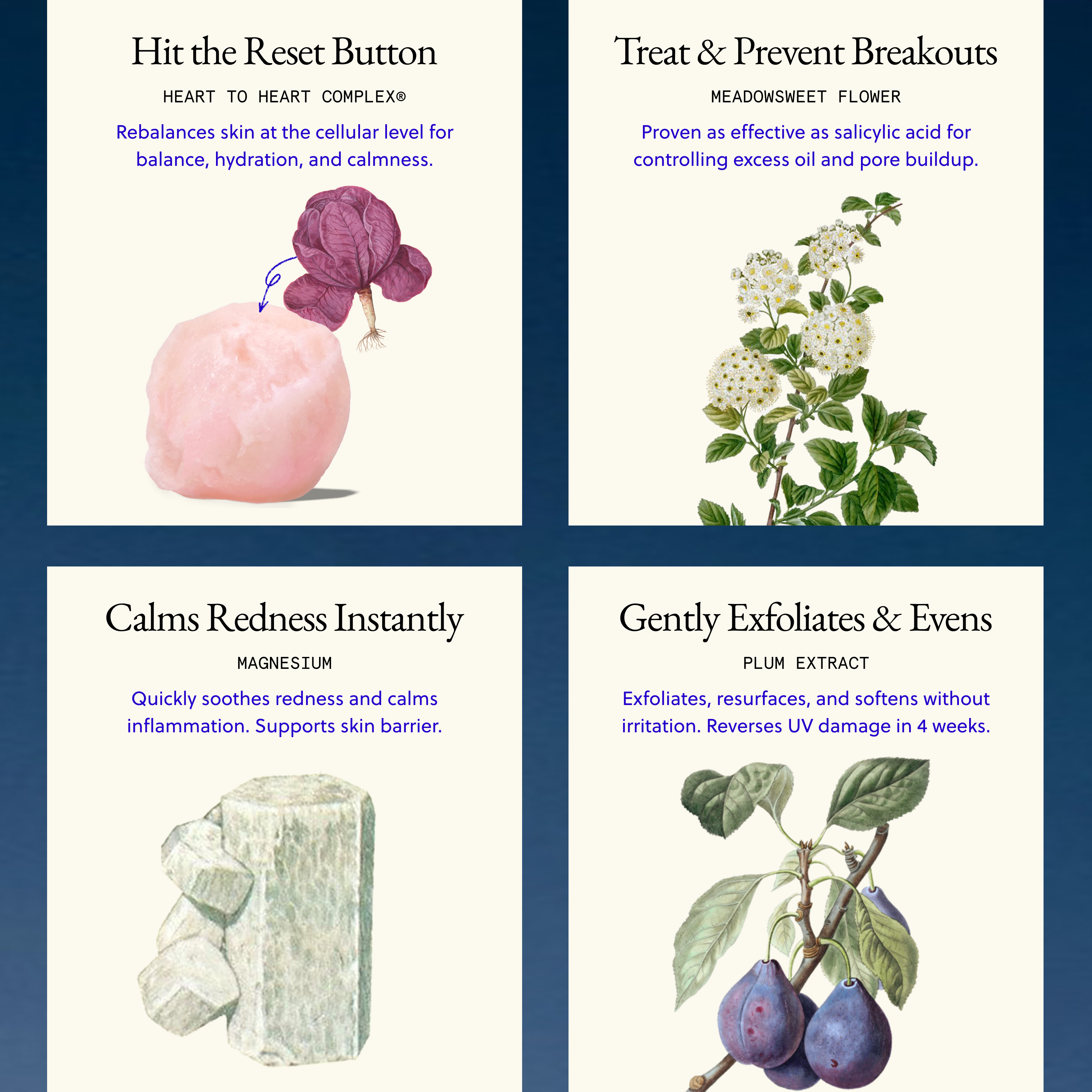 The Daily Perfecting Toner