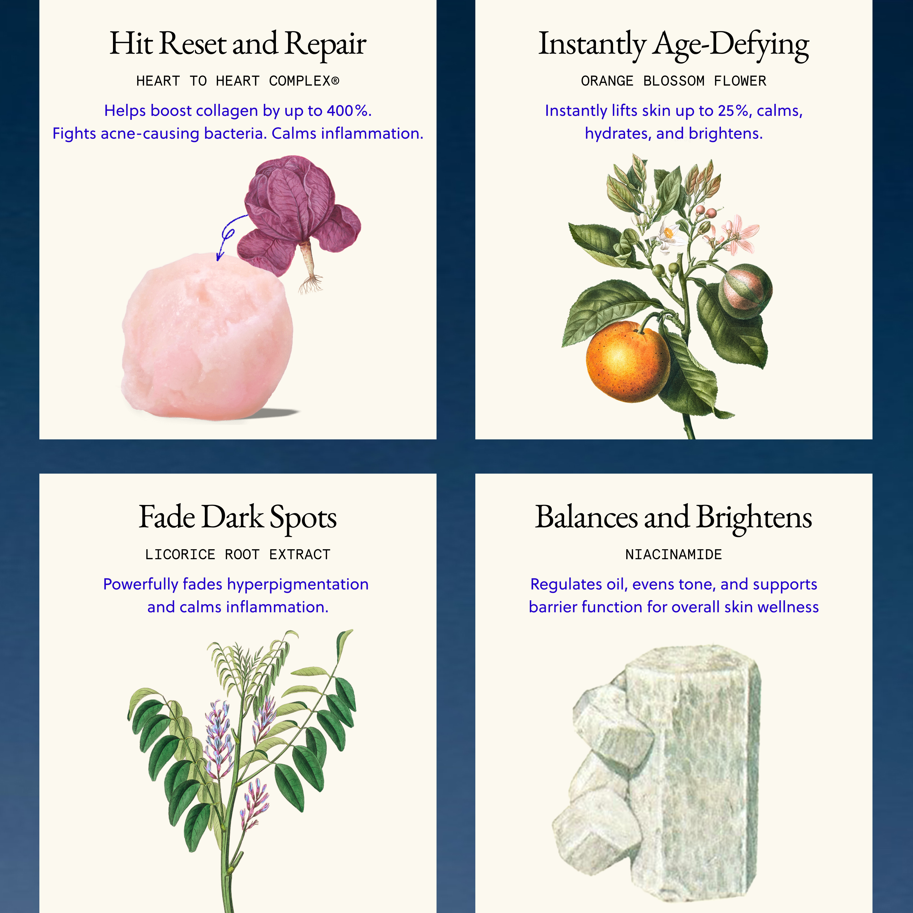 The Daily Vitamin Serum