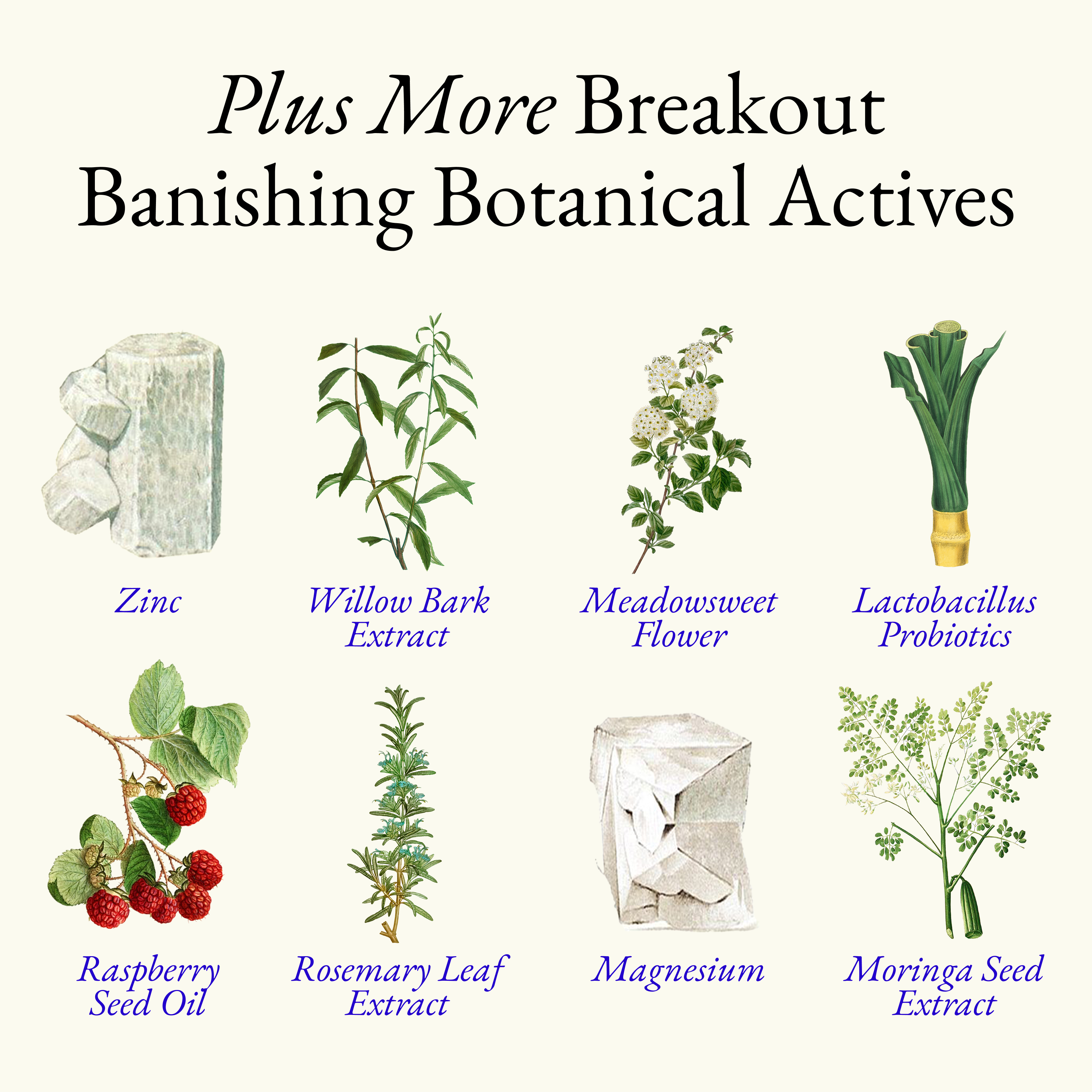 Clarify & Control Protocol (+ Free Eye Cream & Bag)