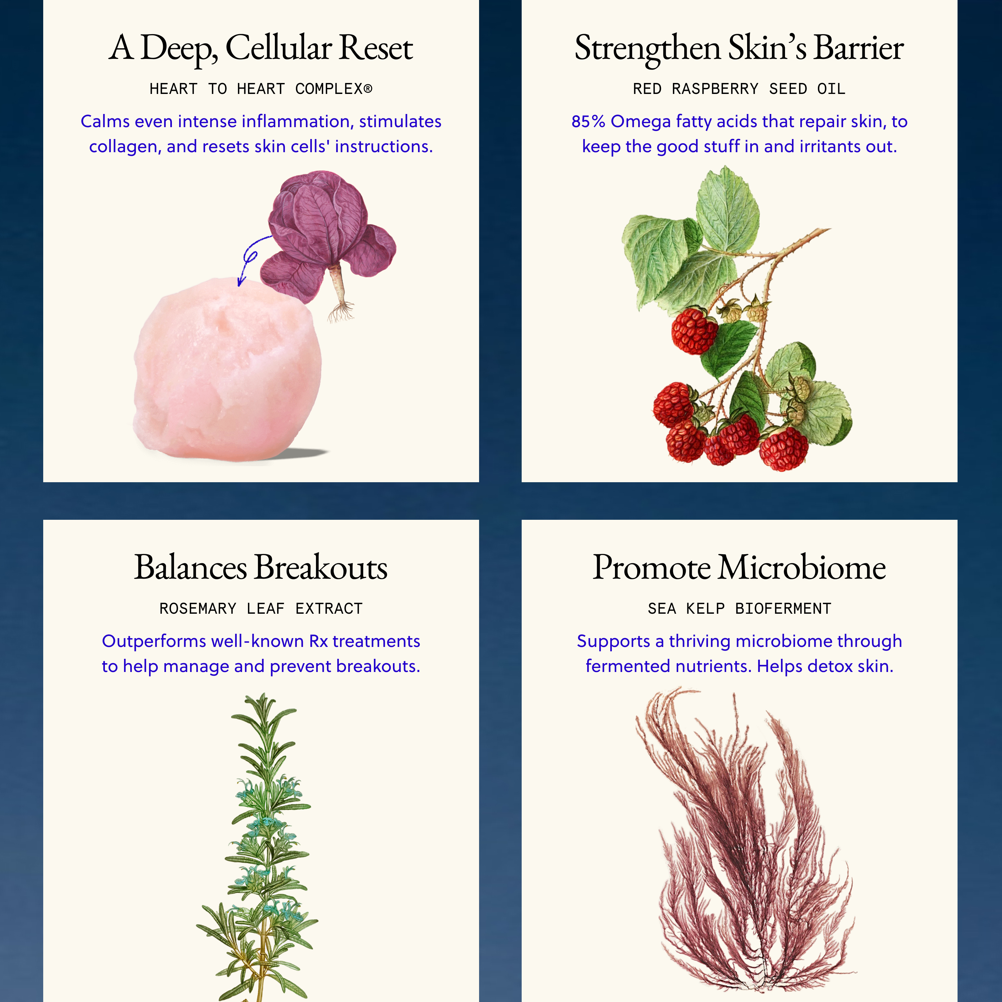 The Jumbo Face Cream