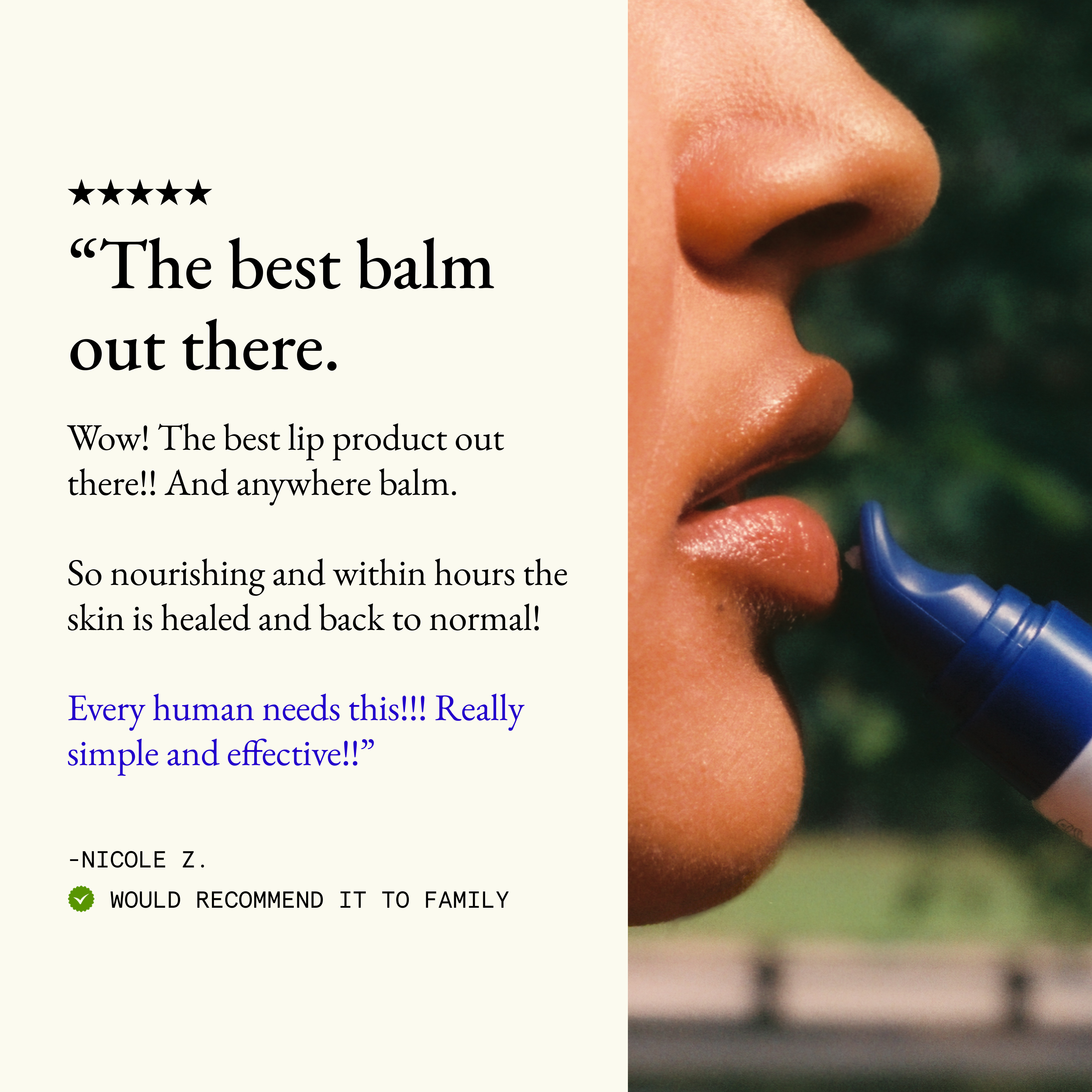 The Lip Balm