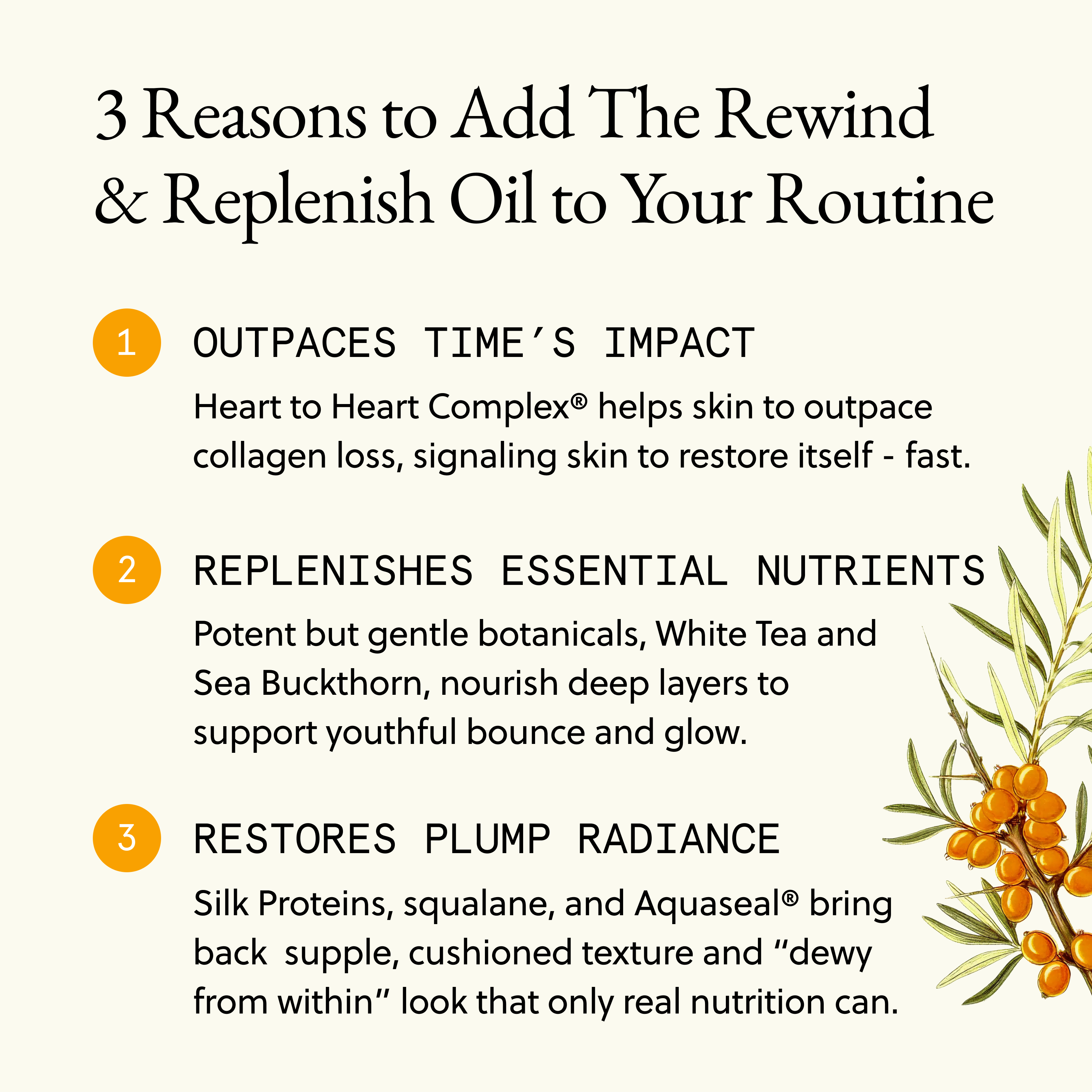 Rewind & Replenish Face Oil