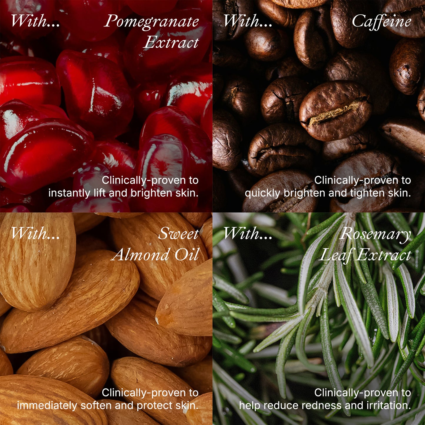 The Rapid Renewal Kit