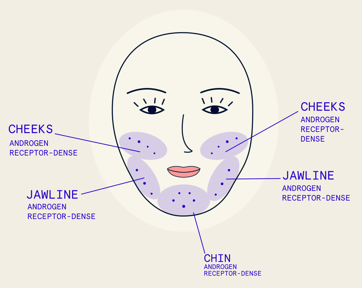 Your Skin is a Hormone Factory