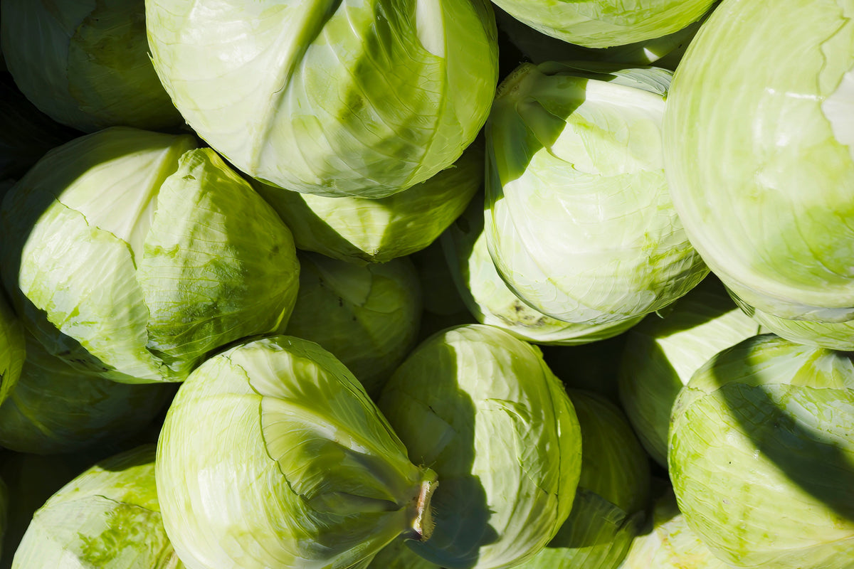 The Ultimate Guide to DIM for Eczema-Prone Skin