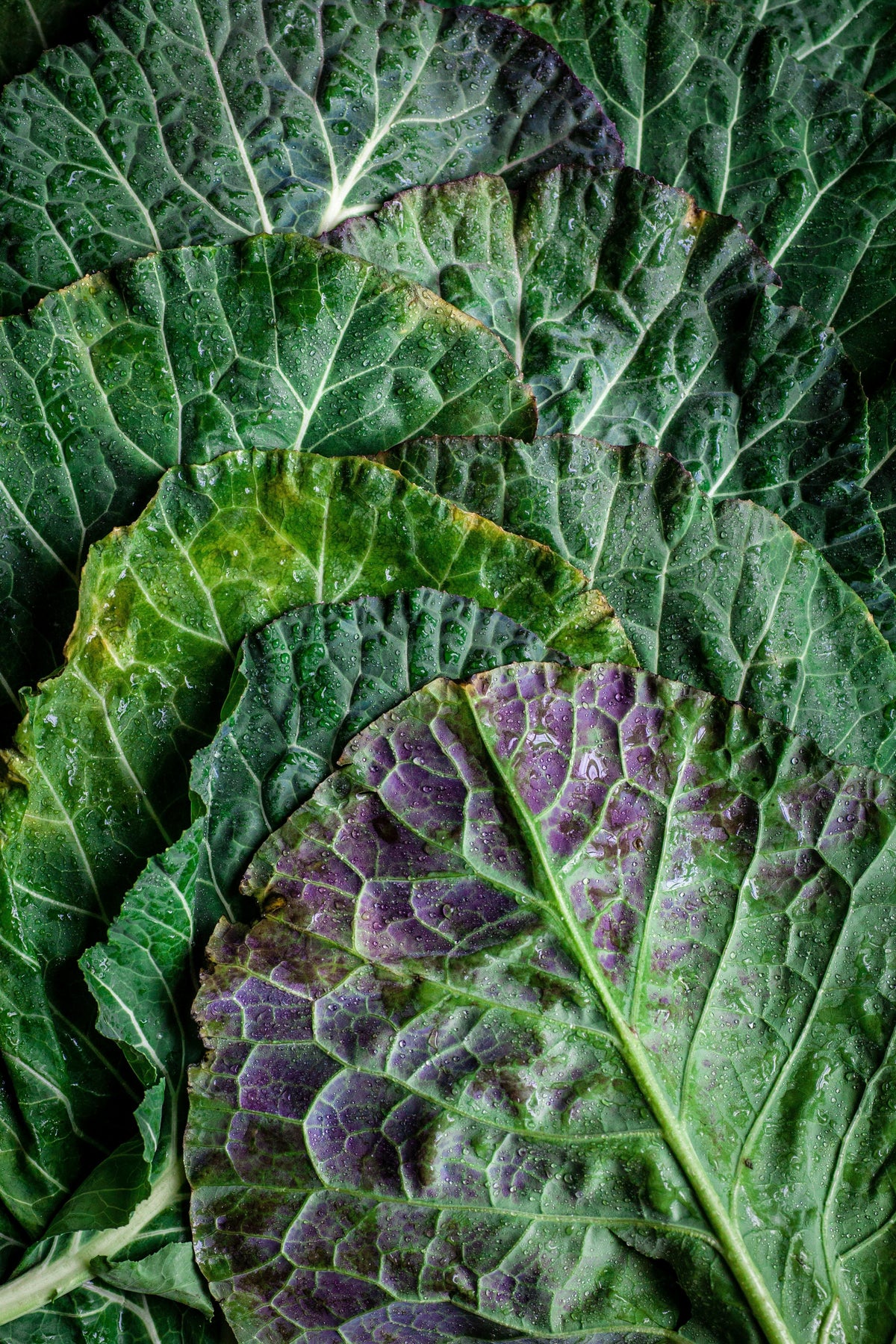The Ultimate Guide to DIM for Acne-Prone Skin