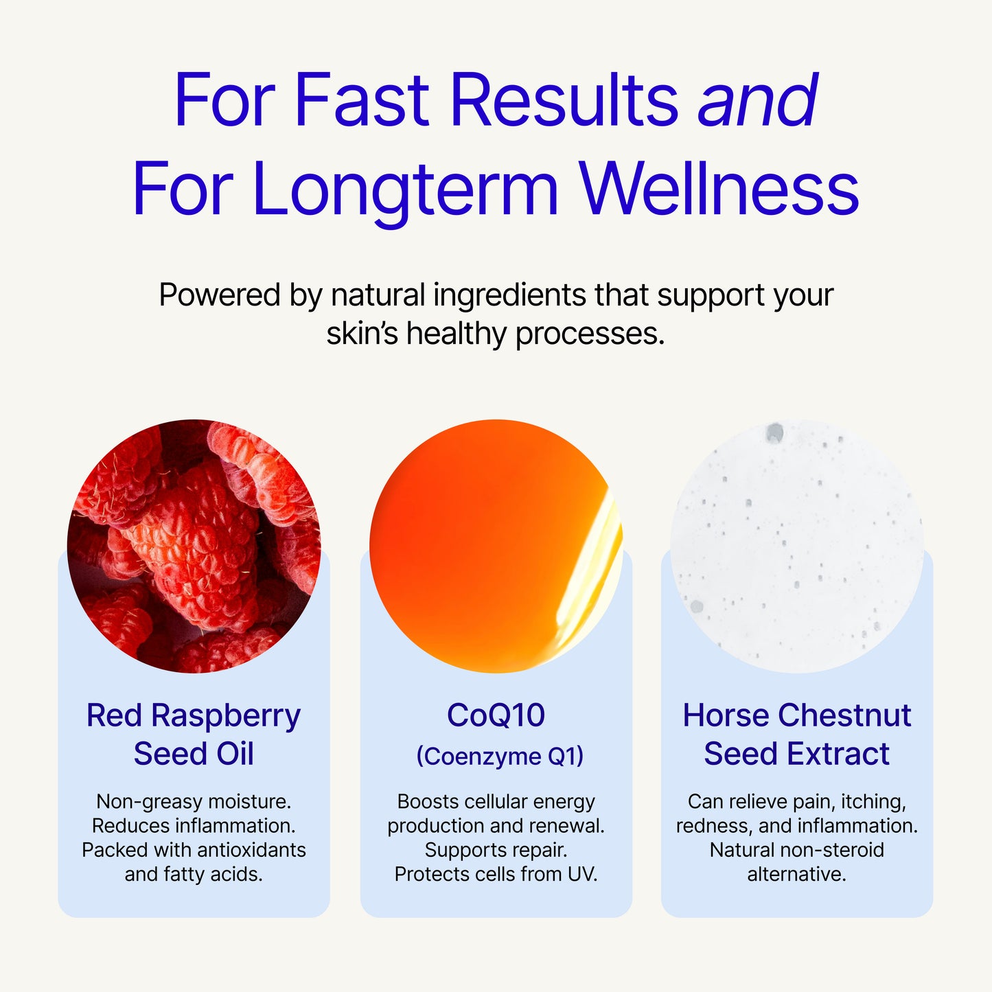 The Eczema Relief Kit