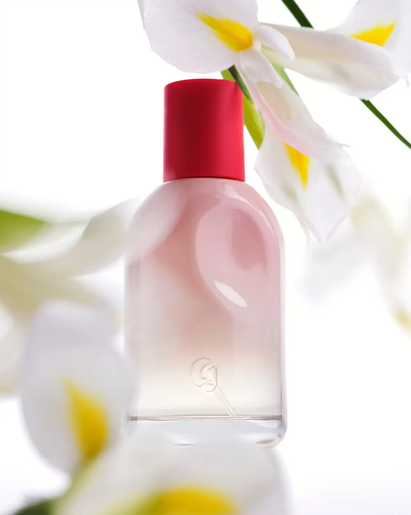 Control & Restore Face Oil (Copy)